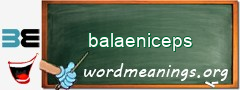 WordMeaning blackboard for balaeniceps